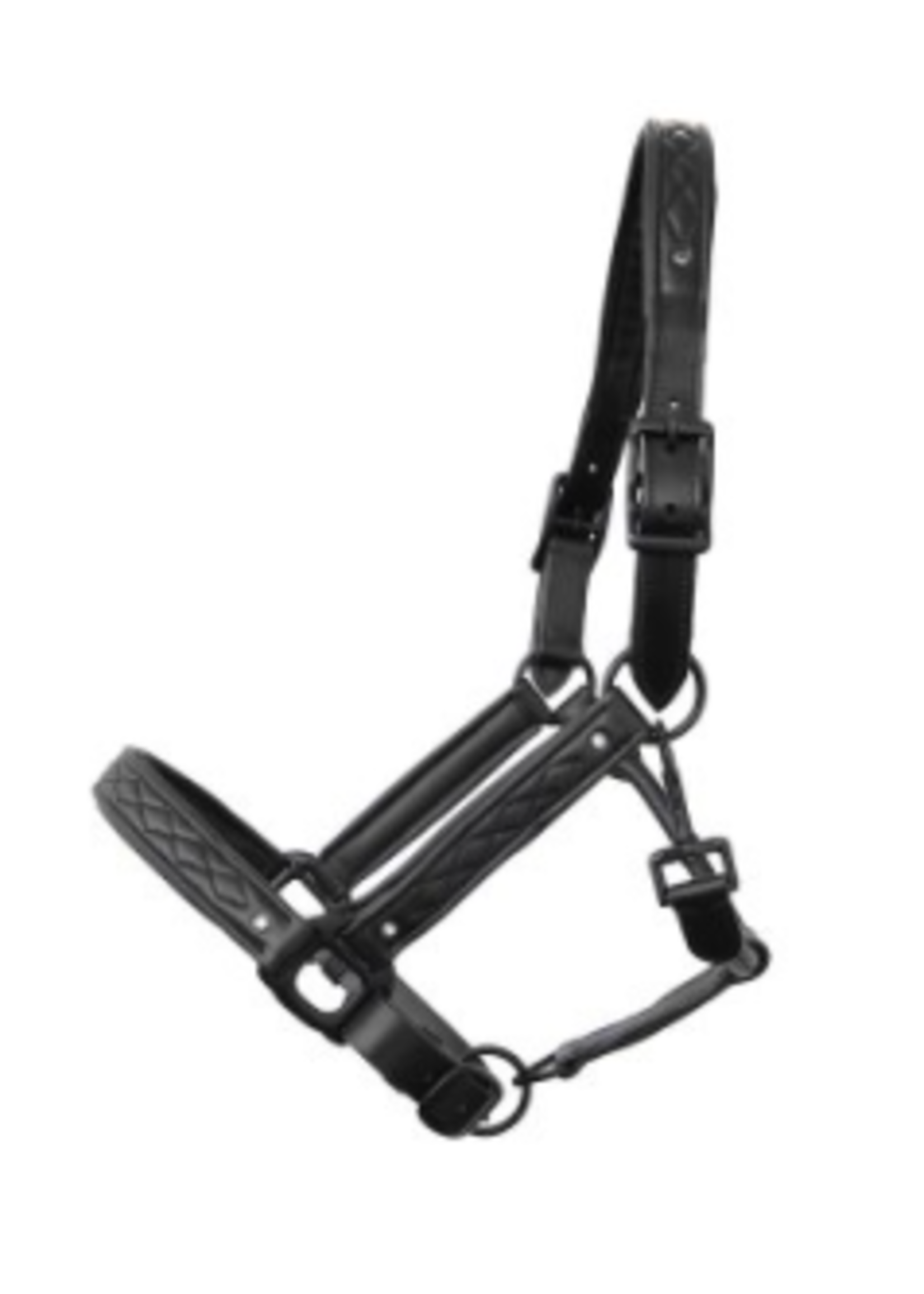 Halster Leder Titanium Full | Stevig lederen halster met tijdloze uitstraling