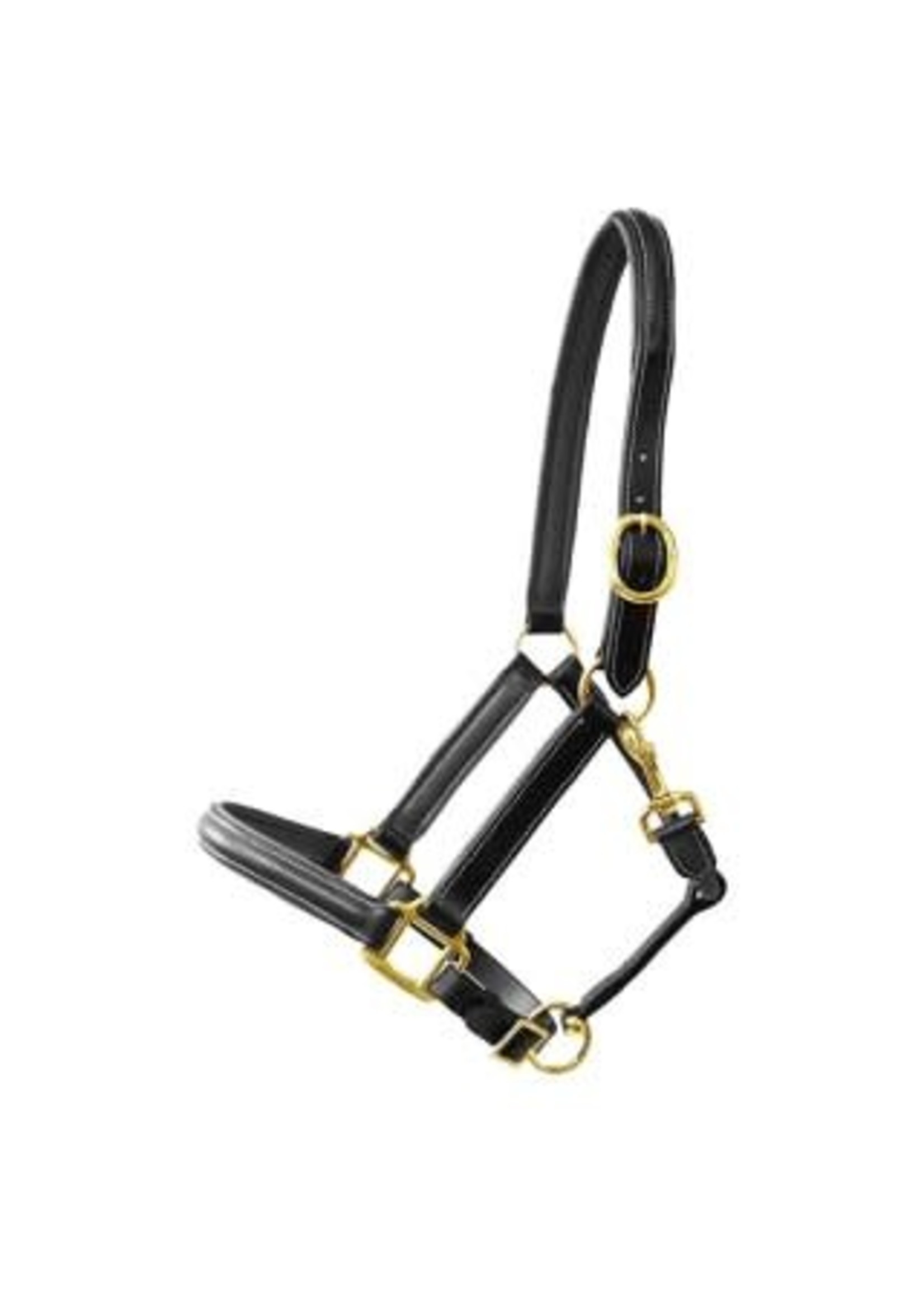Licol Cuir Exquisit Noir Full | Licol en cuir haut de gamme avec ajustement confortable pour un usage quotidien