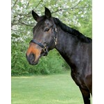 Eco Leather Halter