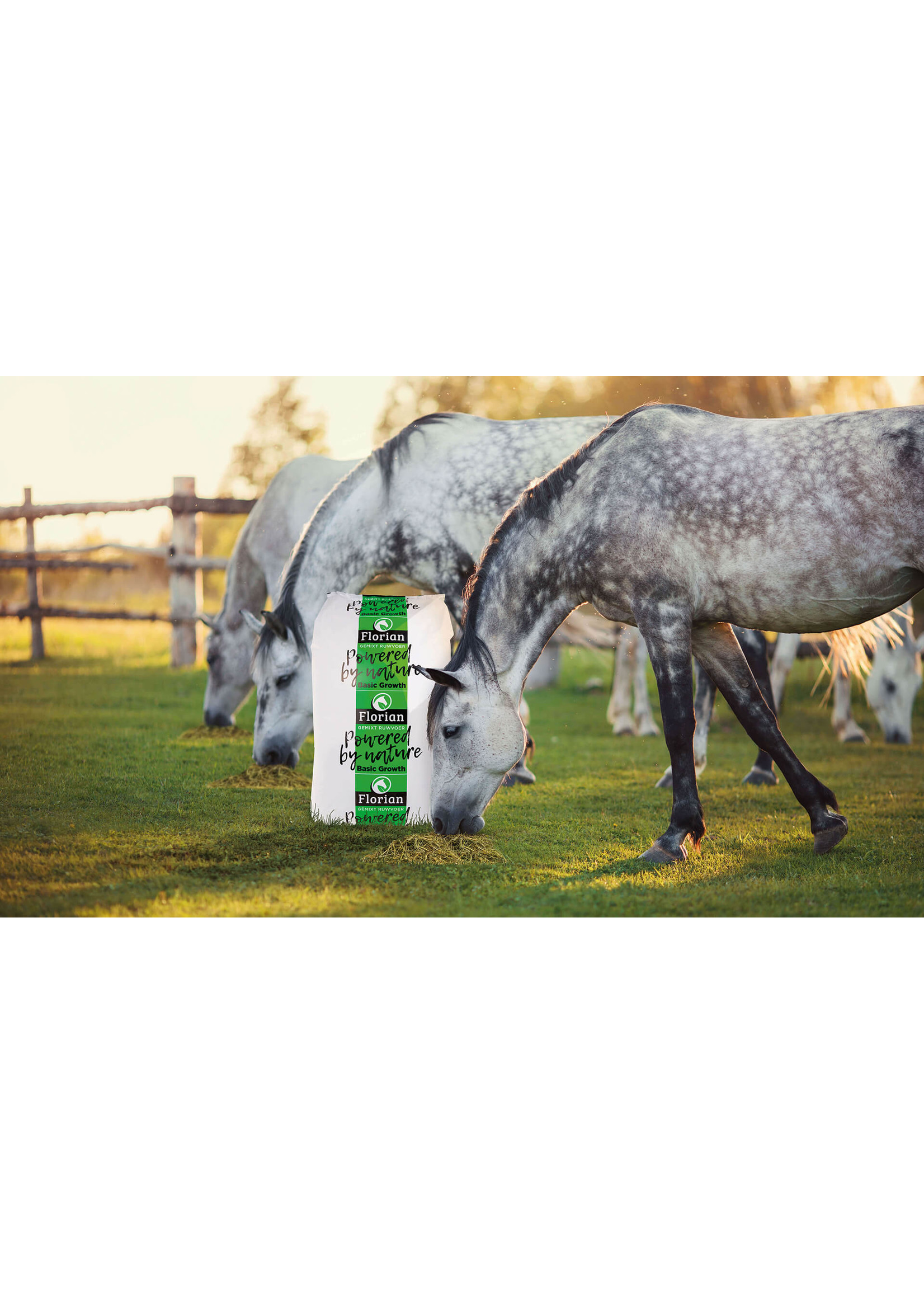 Florian Florian Basic Growth 15kg