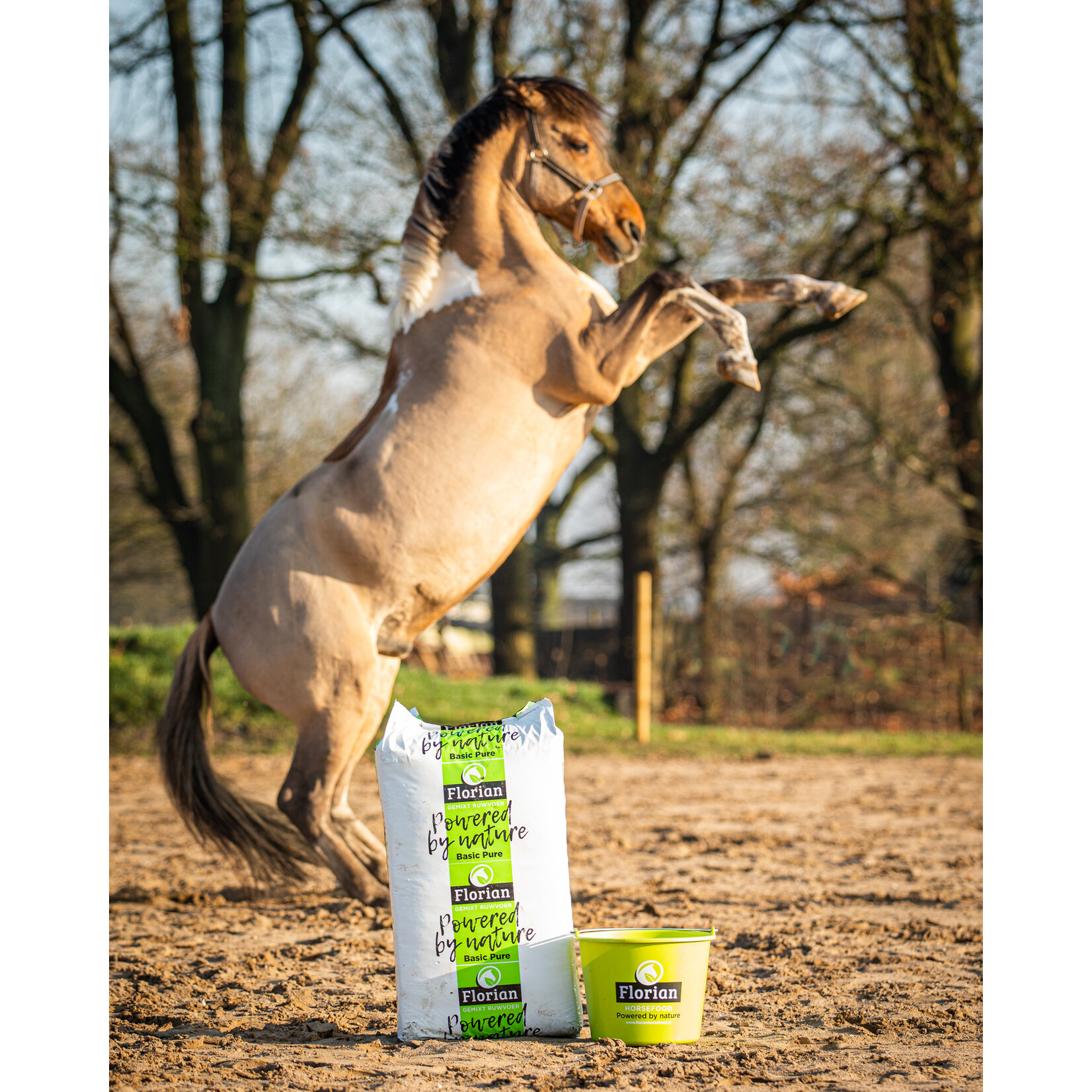 Florian Florian Basic Pure 14 kg | Vezelrijke ruwvoeraanvulling voor een natuurlijk rantsoen