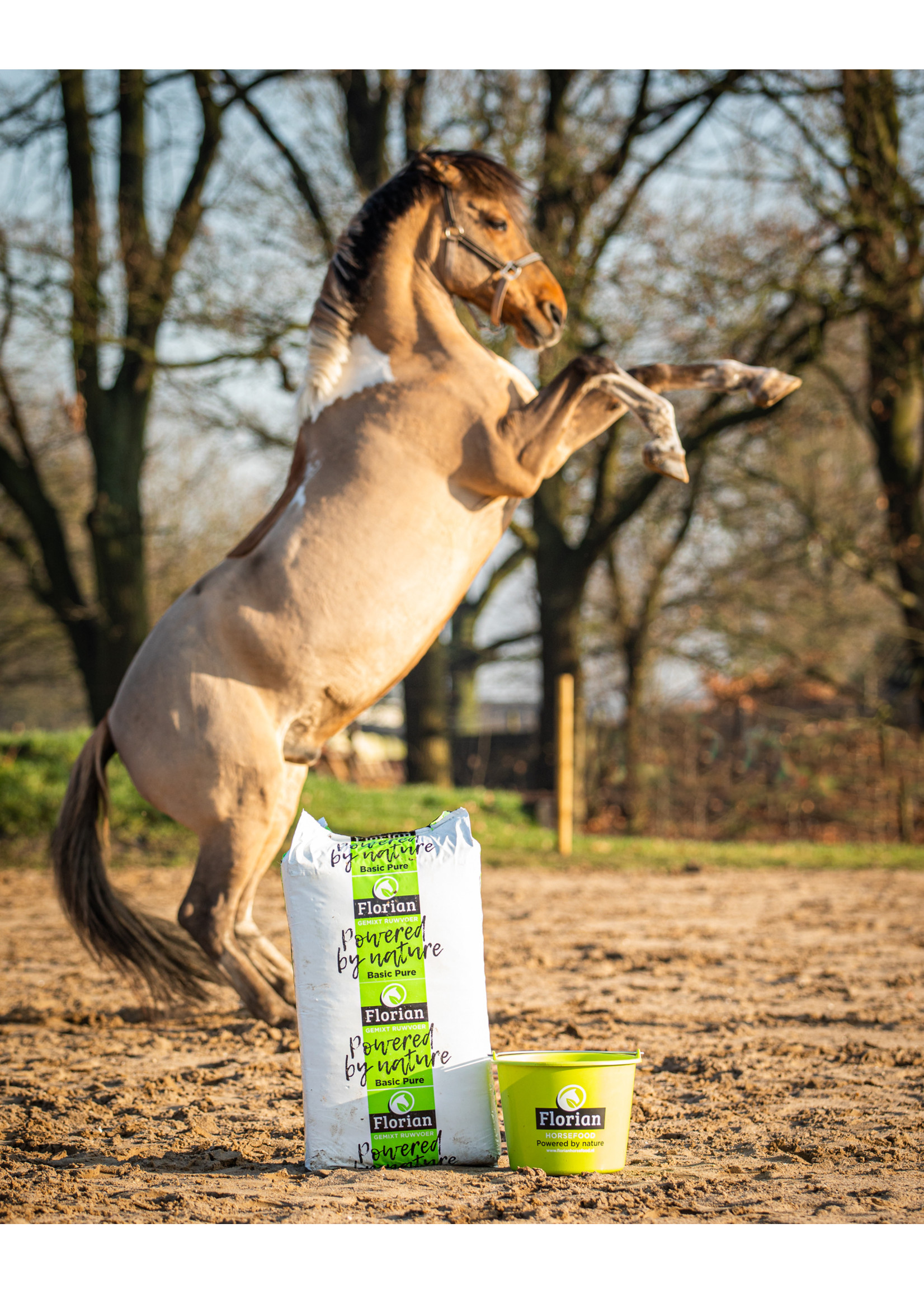 Florian Florian Basic Pure 14 kg | Complément Fibreux pour une Alimentation Naturelle