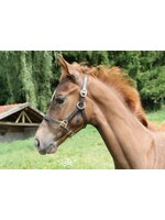 Kerbl Foal Head-Collar Eco Leather