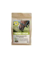 Vitalstyle Vitalstyle Healties  met lijnzaad 1kg