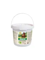 Vitalstyle Vitalstyle OerBalans brok emmer 4kg