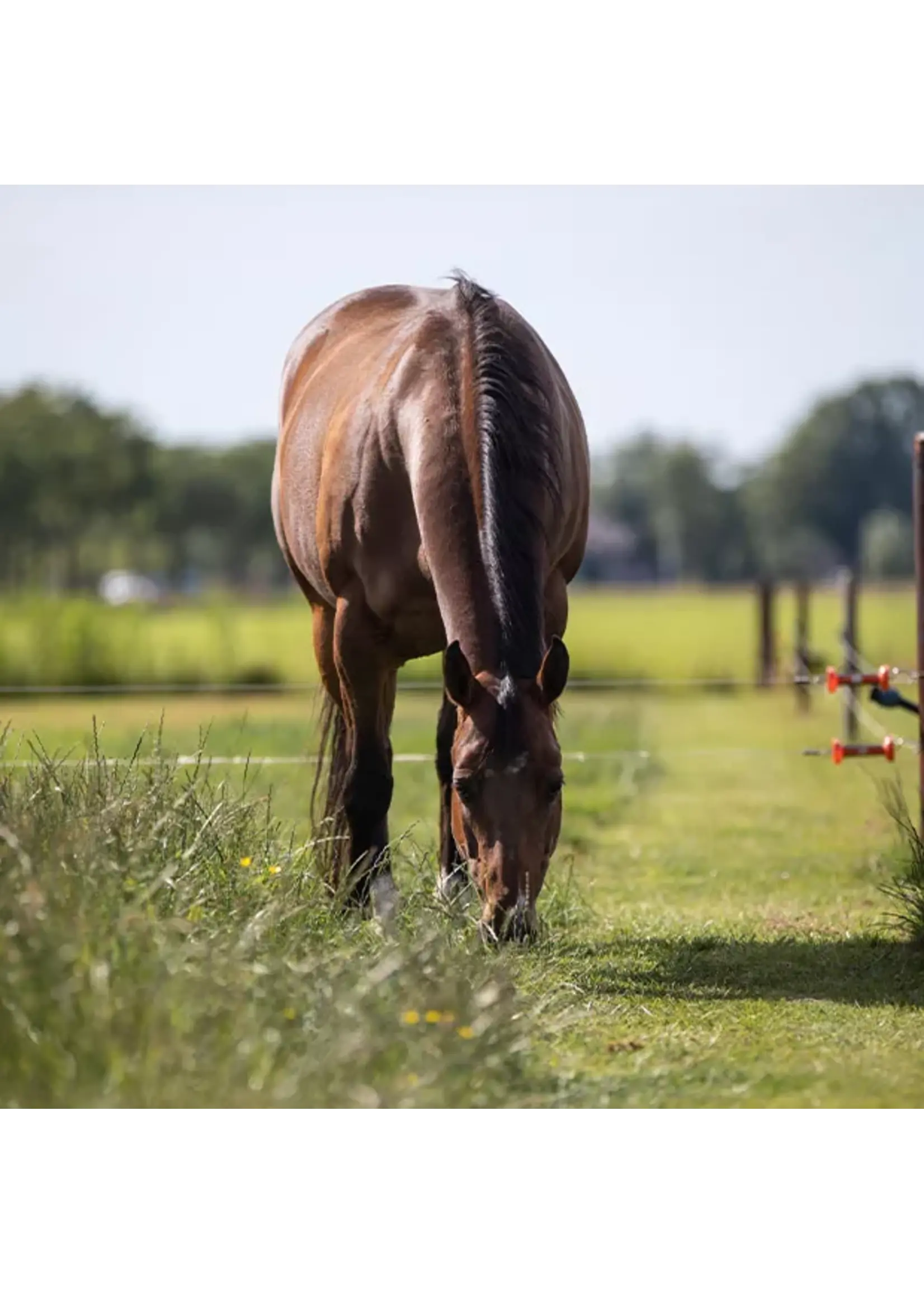 Vitalstyle Vitalstyle OerBalans brok zak 15kg