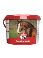 Lannoo Lannoo Electrolyte Booster 2kg