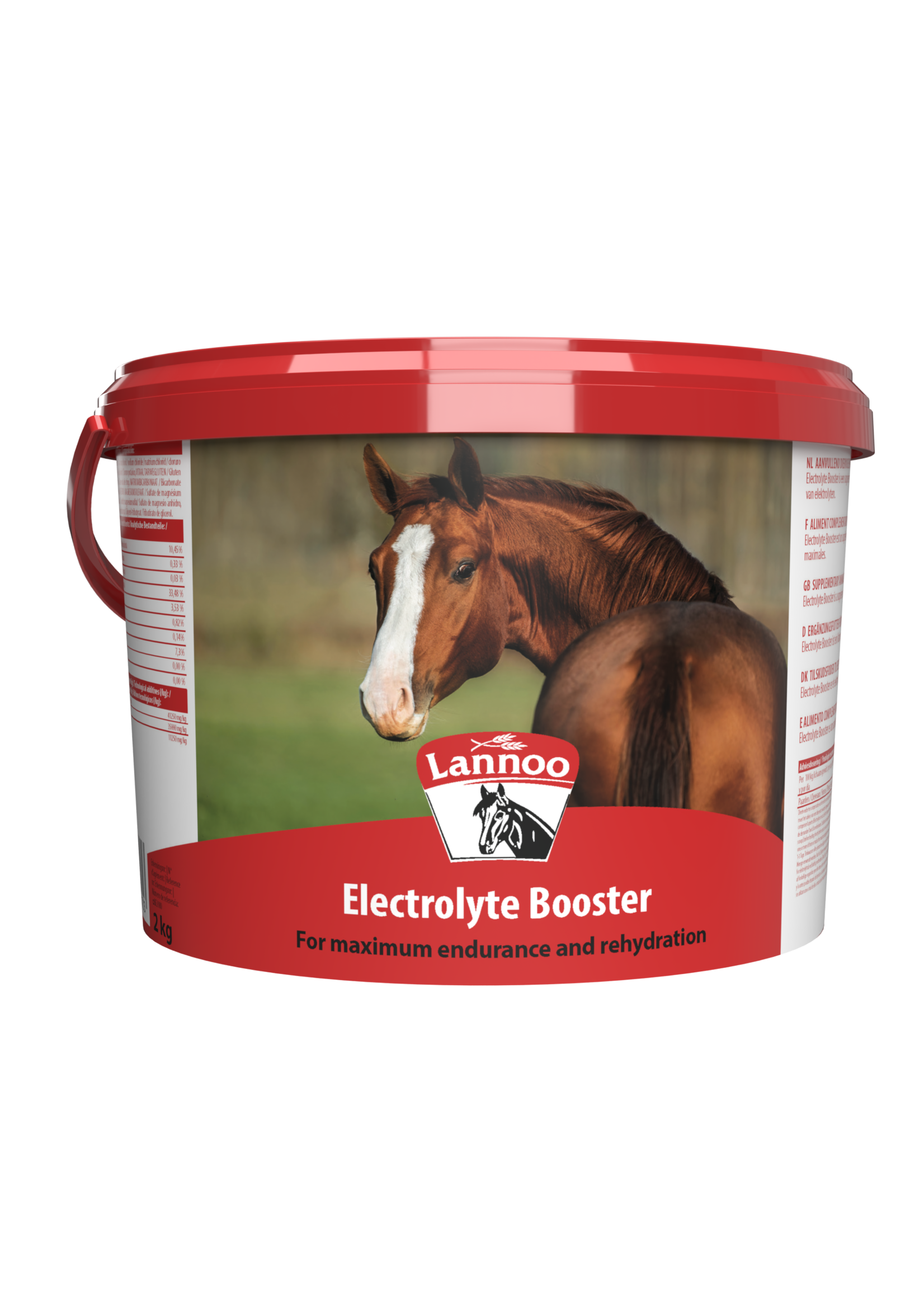 Lannoo Lannoo Electrolyte Booster 2kg