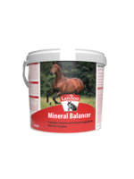 Lannoo Lannoo Mineral Balancer 4kg