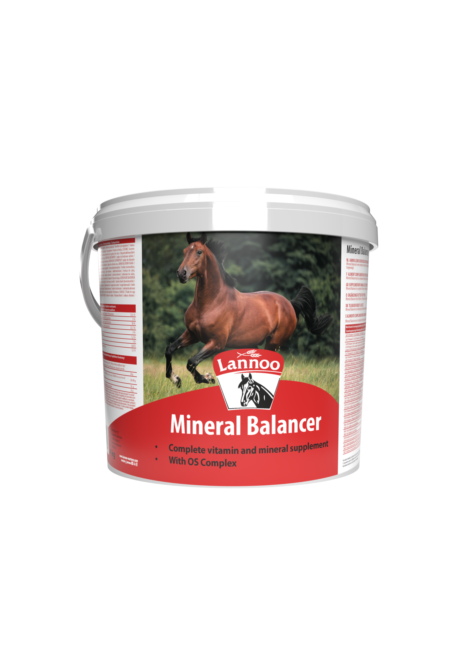 Lannoo Lannoo Mineral Balancer 4kg