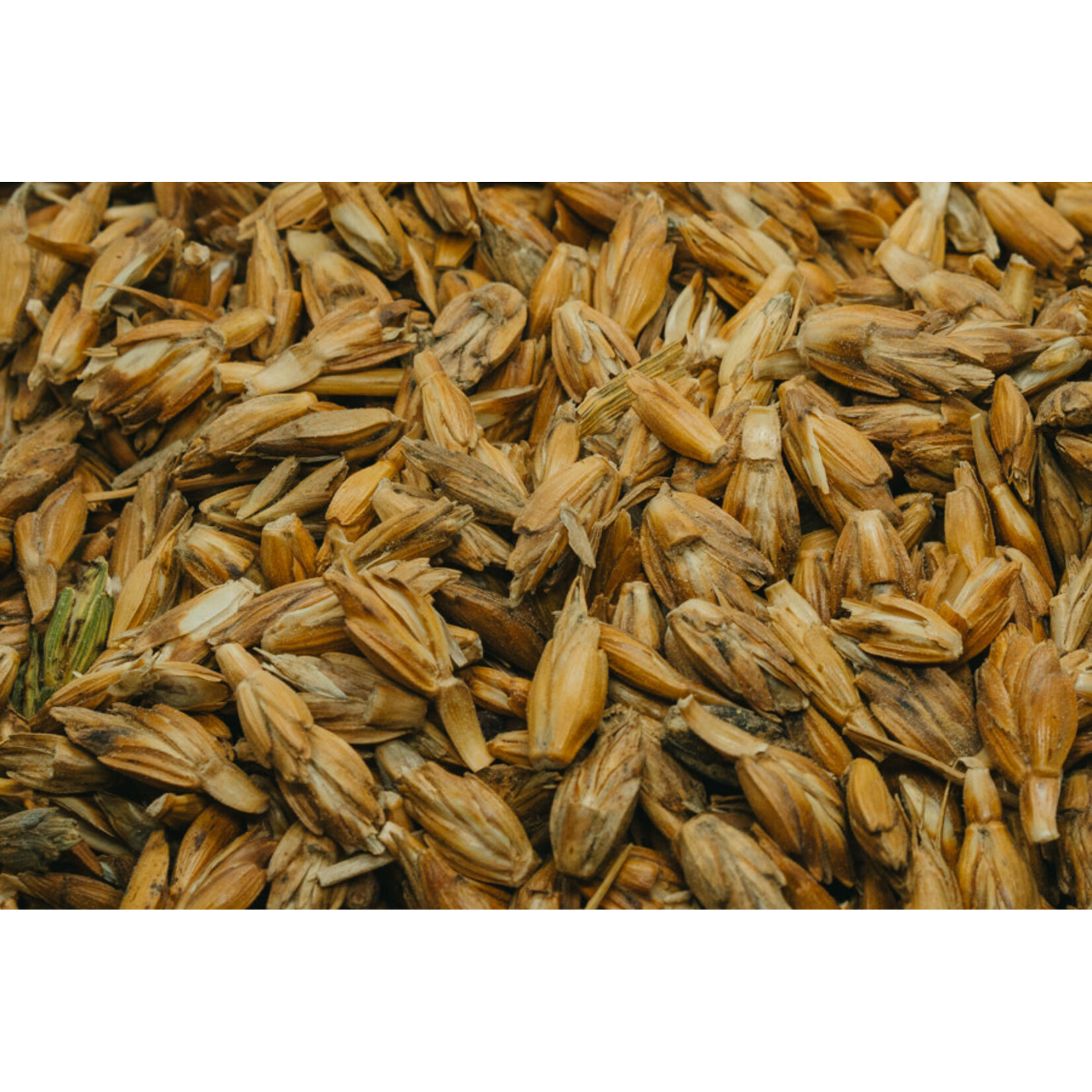 Equilannoo Cleaned Spelt | Natural Grain