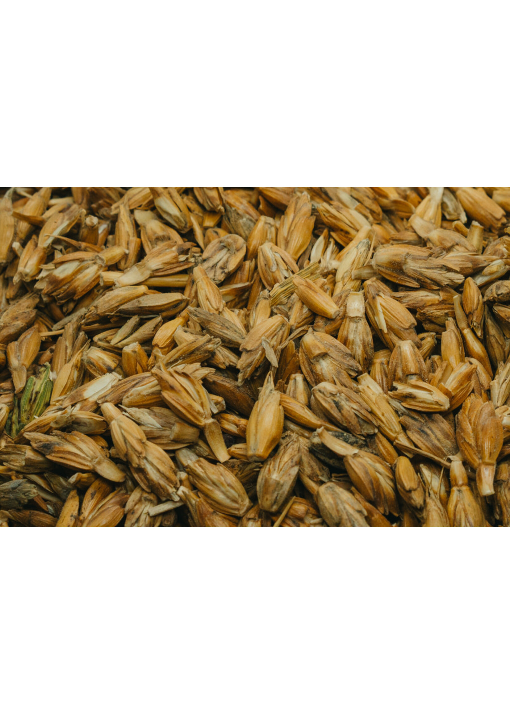 Equilannoo Cleaned Spelt | Natural Grain