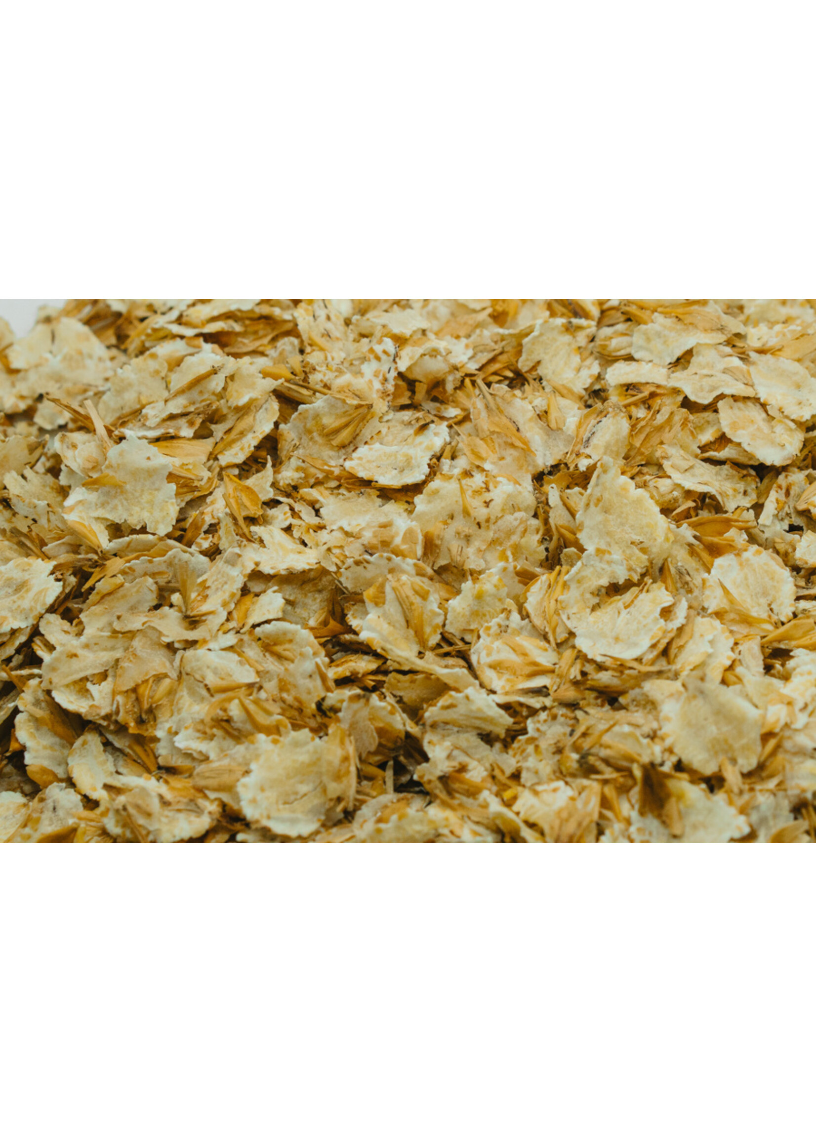 Equilannoo EQL Barley Flakes 20kg | Highly Digestible Barley Flakes