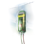 Patura PTR Flitslicht