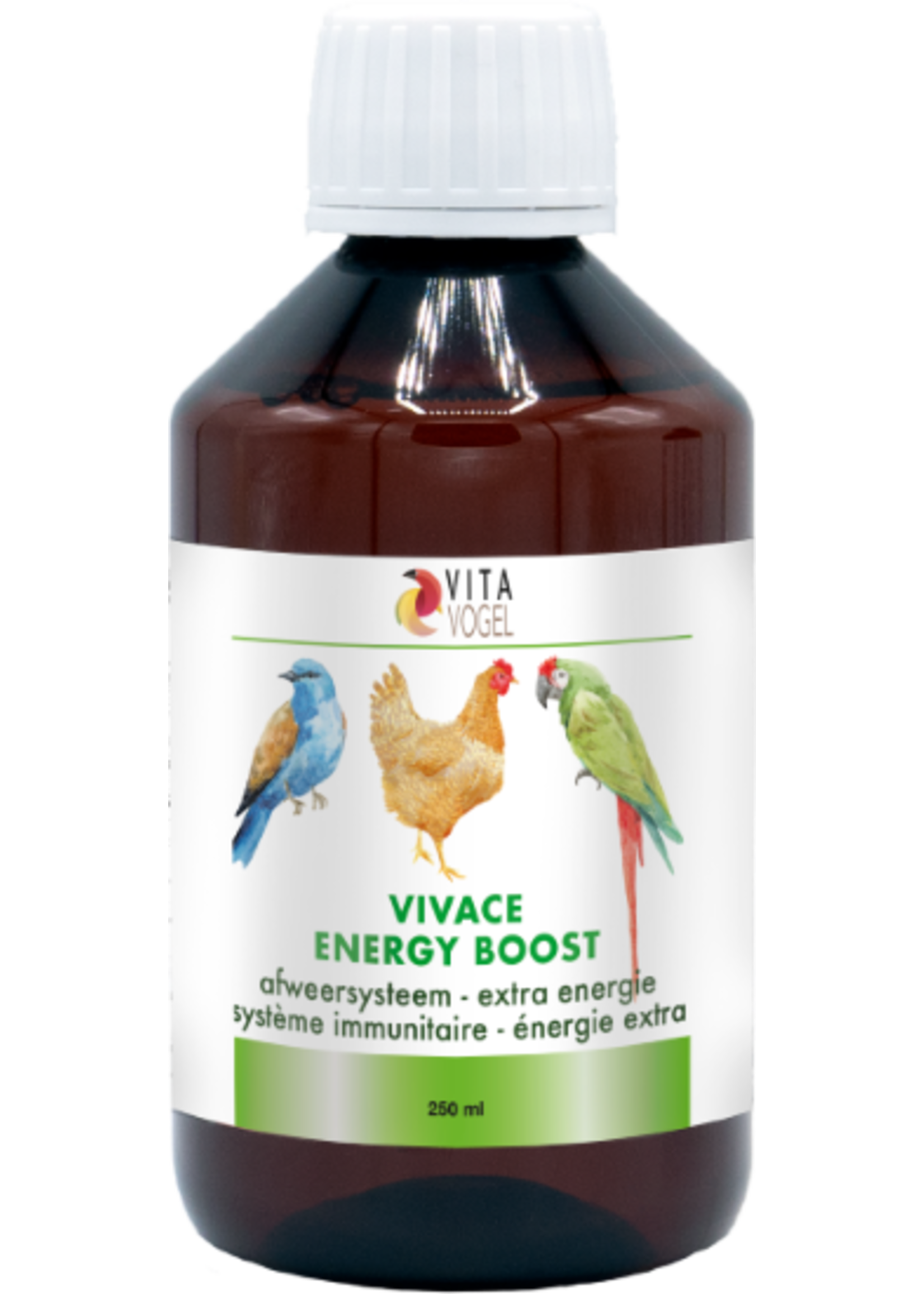 Energy Boost Vivace 100 ml