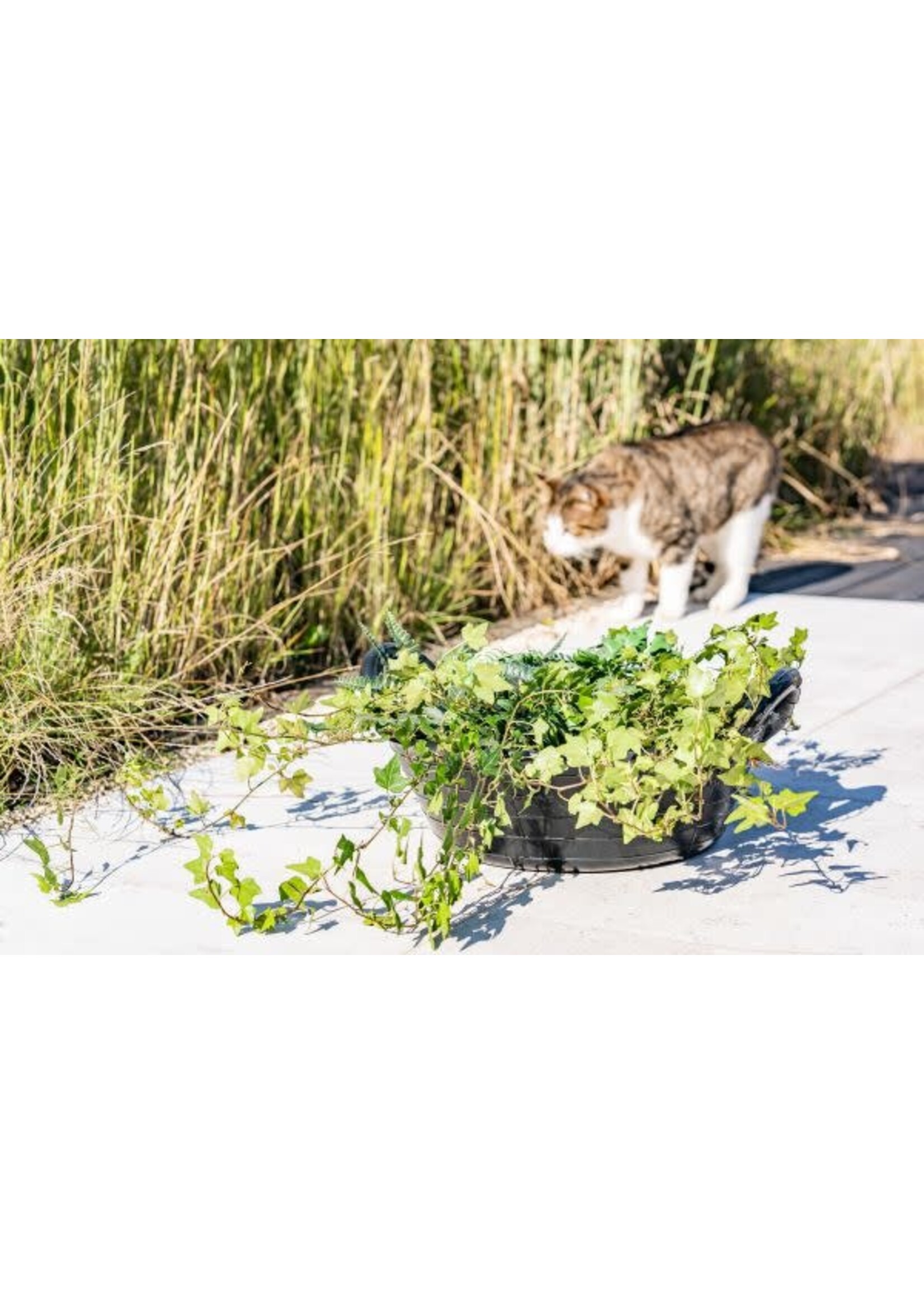 Rubber Abreuvoir en caoutchouc 12L