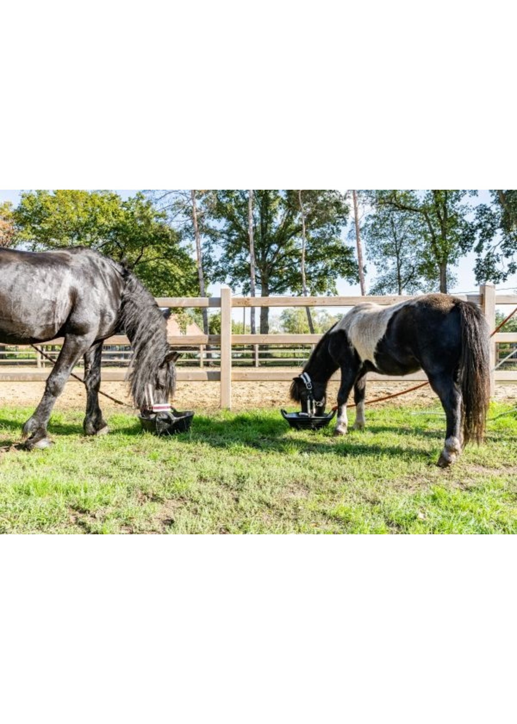 Rubber Rubberen Trog 12L