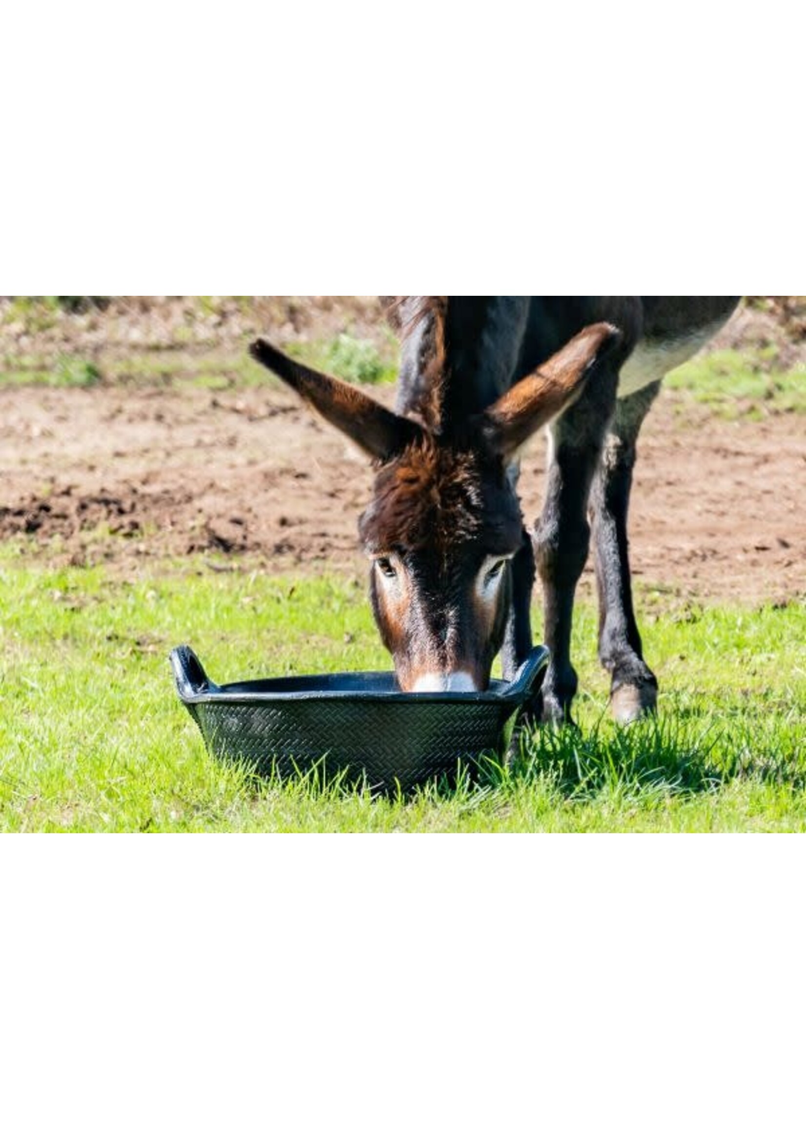 Rubber Abreuvoir en caoutchouc 21L