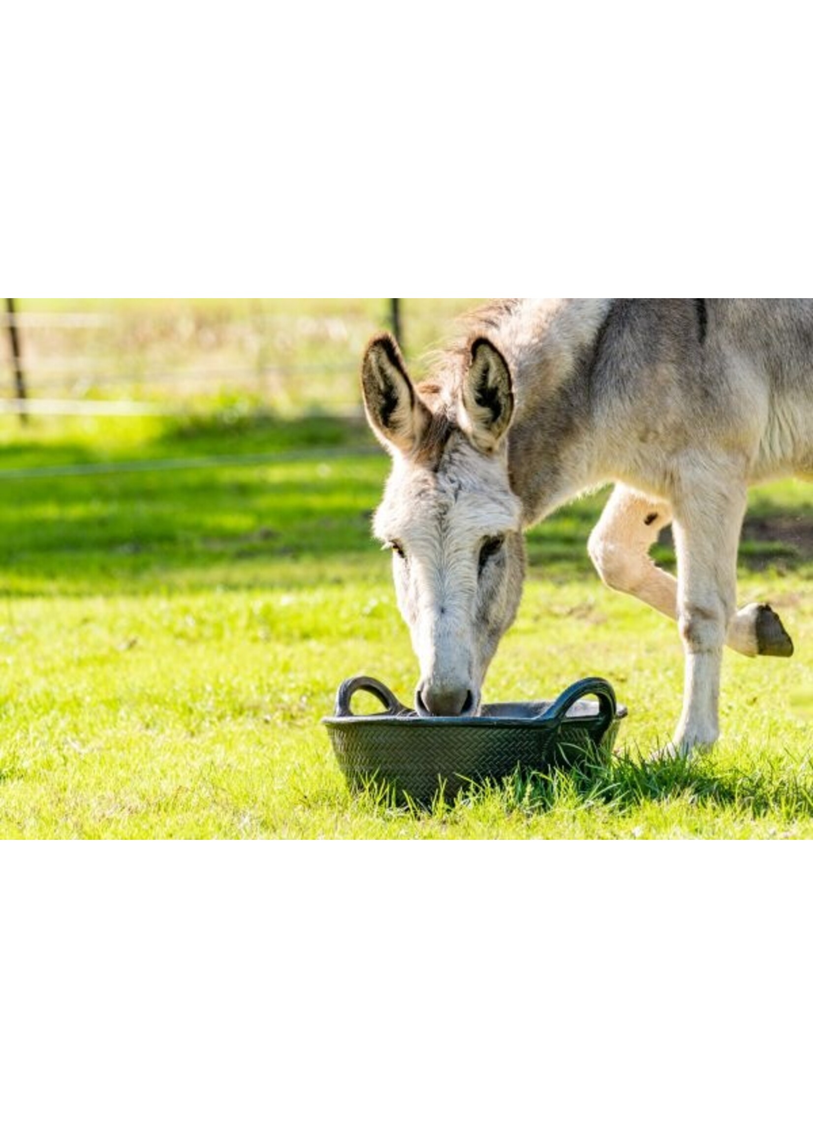 Rubber Trough 21L