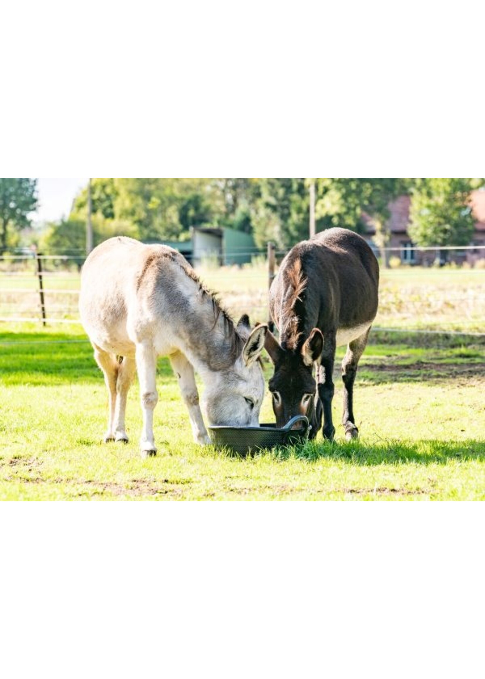 Rubber Abreuvoir en caoutchouc 21L