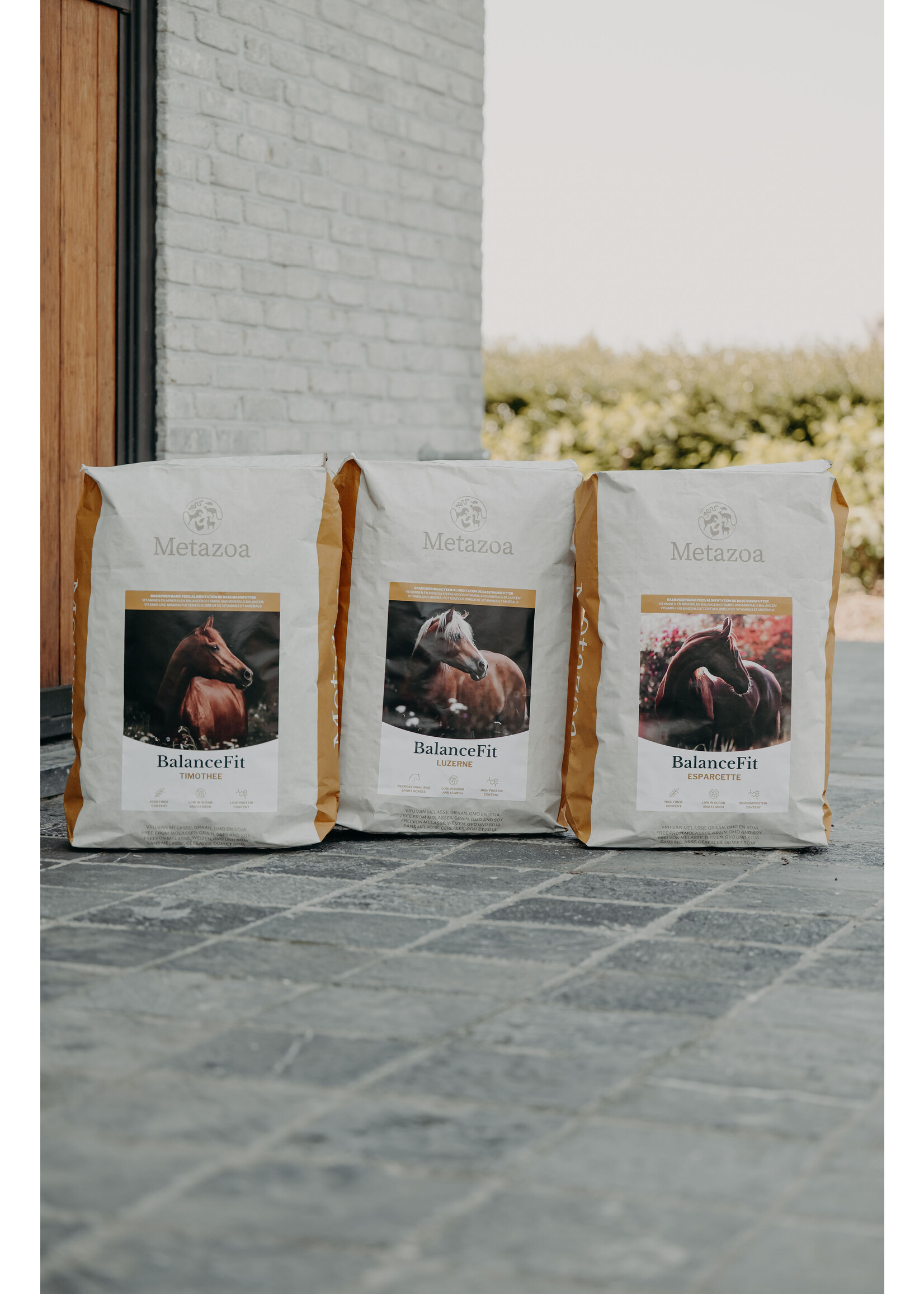 Metazoa Metazoa BalanceFit Esparcette 15 kg | Sainfoin-based balancer for daily nutrition