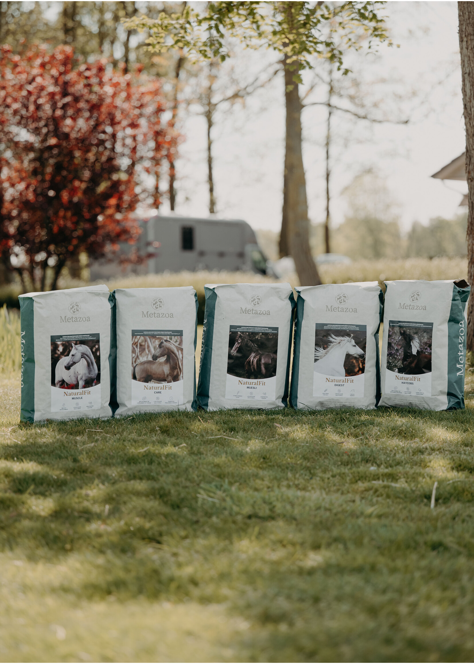 Metazoa Metazoa NaturalFit Muscle 15kg