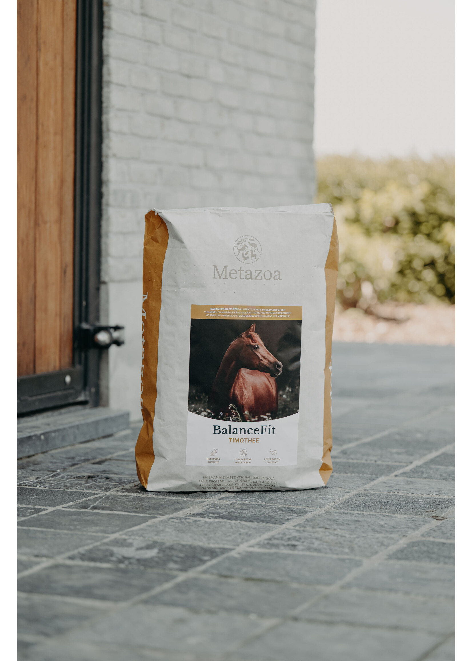 Metazoa Metazoa BalanceFit Timothee 15 kg | Timothy-based balancer for daily nutrition