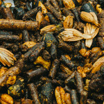 Alimentation pour chevaux âgés