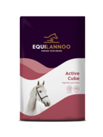 Equilannoo EQL Active Cube 20kg