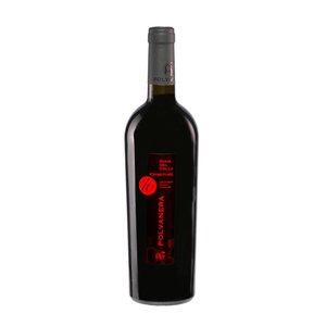 Polvanera Primitivo 16