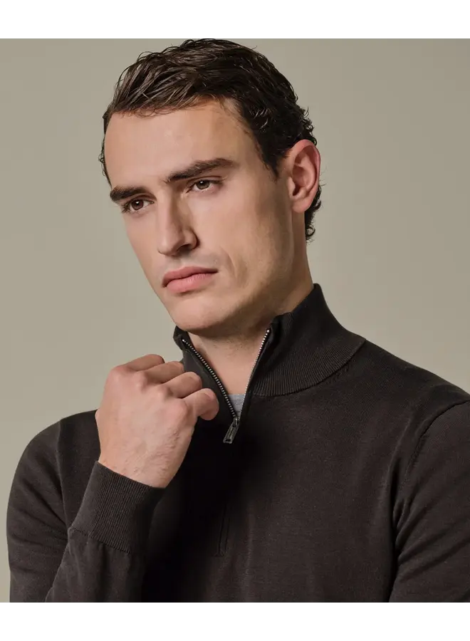 Pullover Luxury basic Half Zip Brown PPXJ10008B