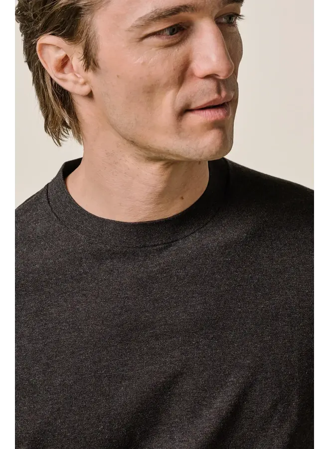 Crewneck Luxury Basic Bruin PPXJ30001E