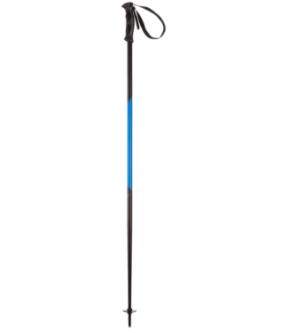 Head Multi S Ski Pole