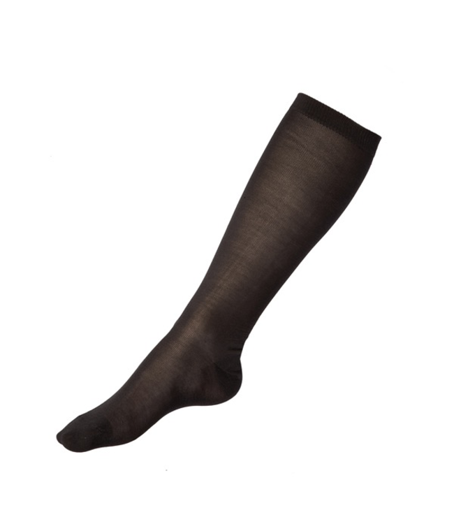 Steiner Silk Ski Sock
