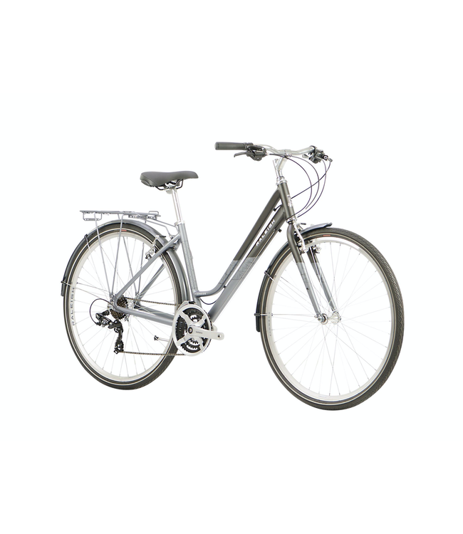 Raleigh Pioneer Low Step Bike