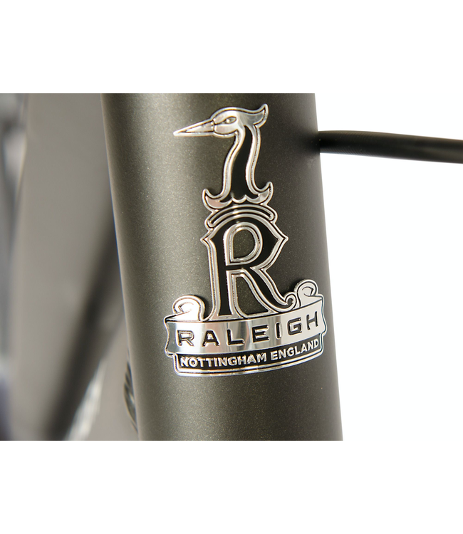 Raleigh Pioneer Low Step Bike