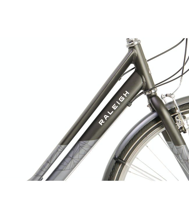 Raleigh Pioneer Low Step Bike