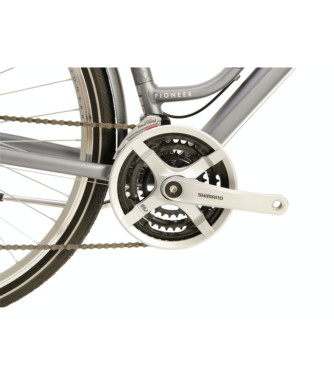 Raleigh Pioneer Low Step Bike