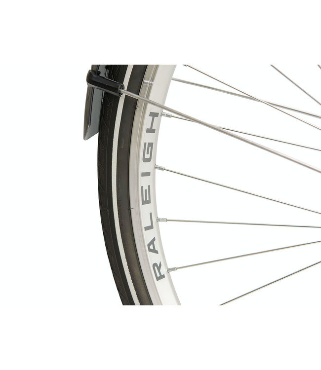 Raleigh Pioneer Low Step Bike