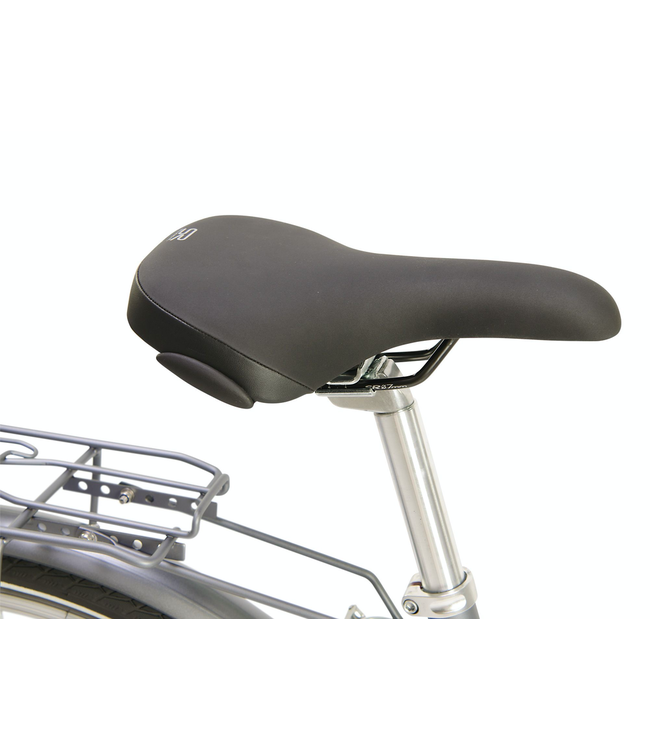 Raleigh Pioneer Low Step Bike