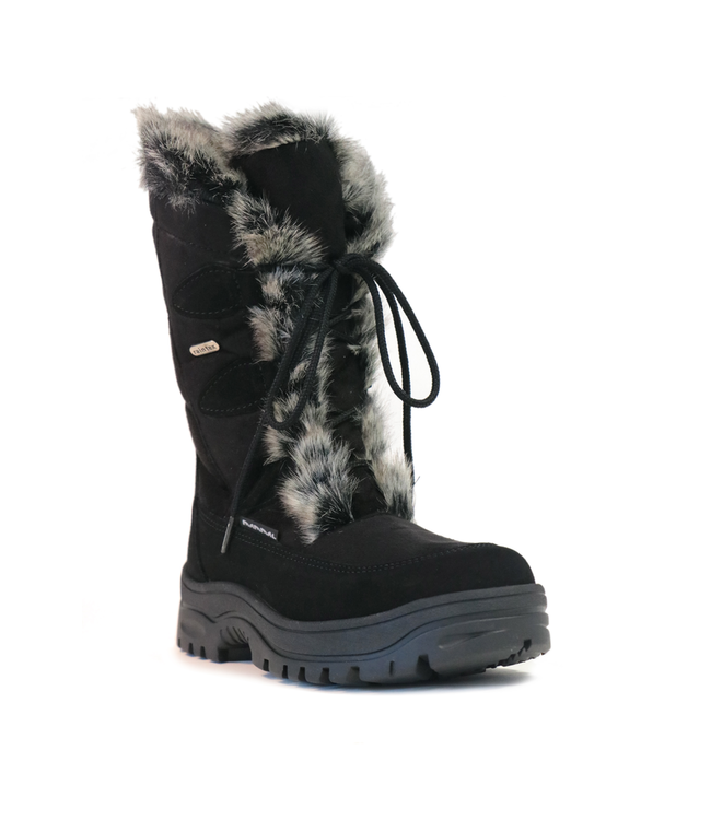 Mammal Mammal Oribi OC Moonboot