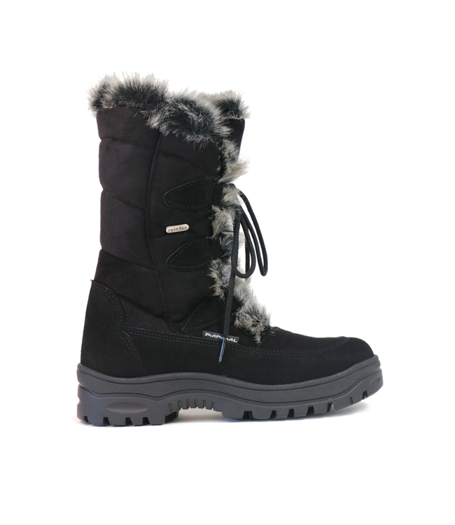 Mammal Mammal Oribi OC Moonboot