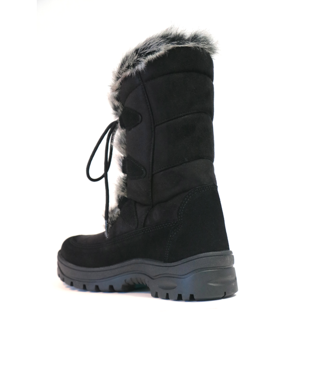 Mammal Mammal Oribi OC Moonboot