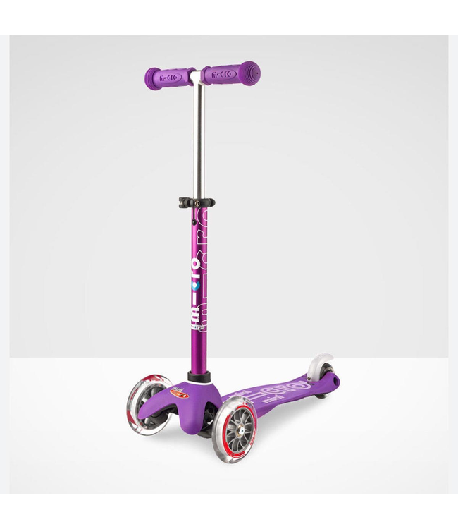 Mini Micro Delux Scooter