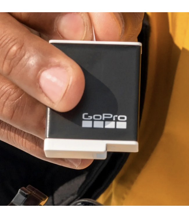 Go Pro Go Pro Enduro - 2 Pack