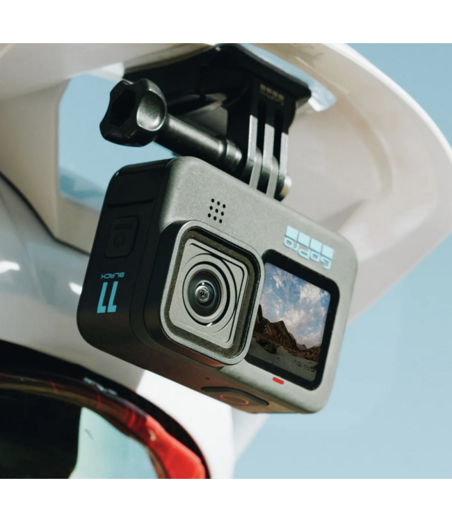 Go Pro Go Pro Curved + Flat Adhesive Mounts