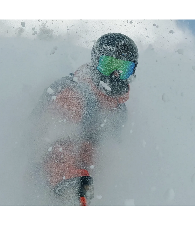 Go Pro Go Pro Handlebar/Seatpost/Pole Mount