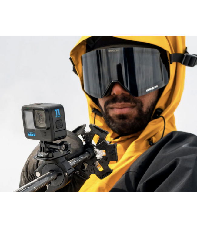 Go Pro Go Pro Handlebar/Seatpost/Pole Mount