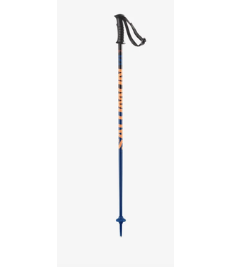 Salomon Kaloo JR Ski Pole