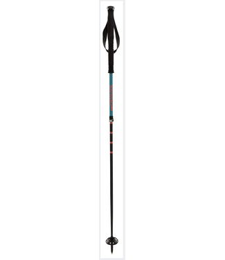 Volkl Touristick AC Adjustible  Ski Pole